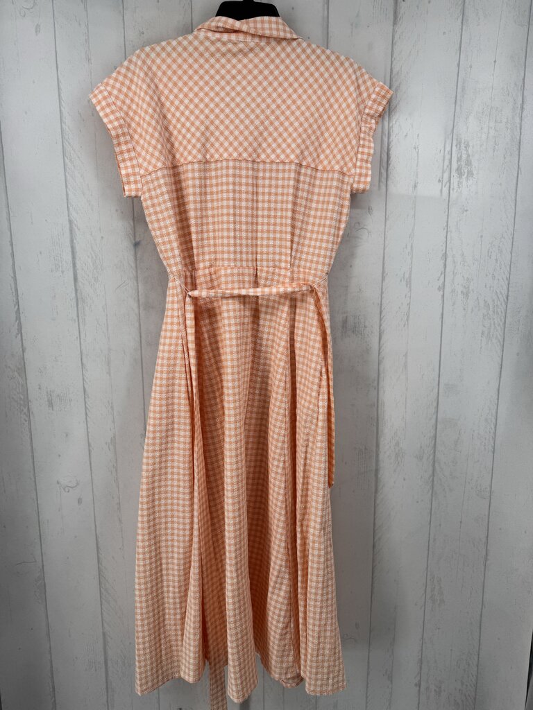 10 gingham button down s/s dress