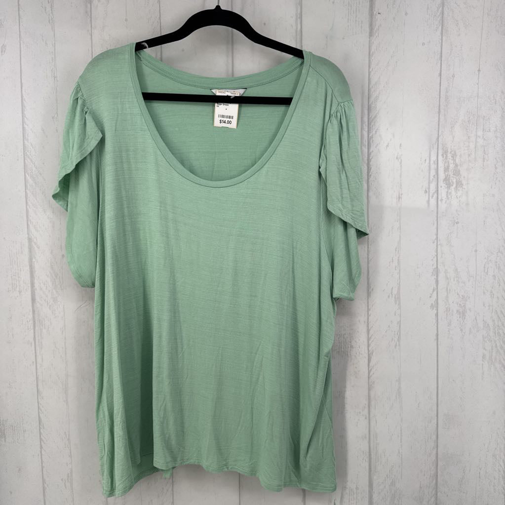 Flutter Sleeve Round Neckline Top