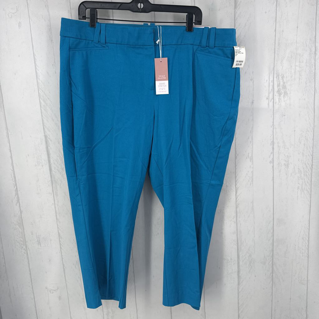 R60 skinny crop pant