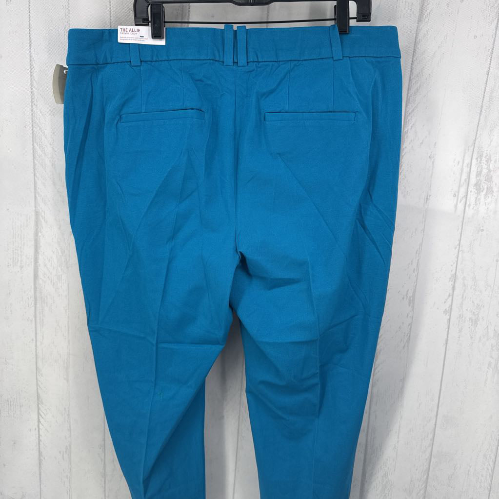 R60 skinny crop pant