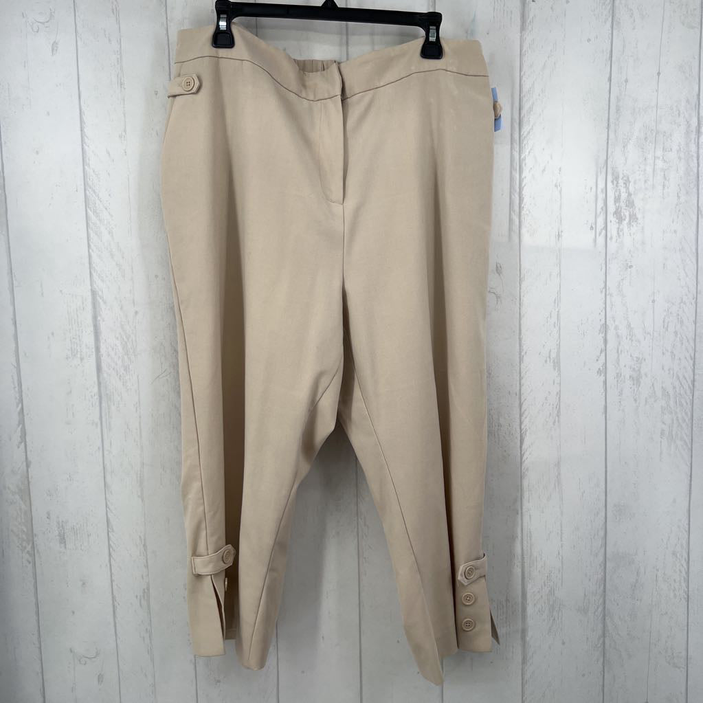 1X crop ankle pant