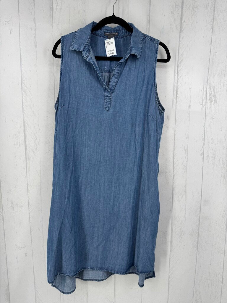 1X split neck slvls denim dress