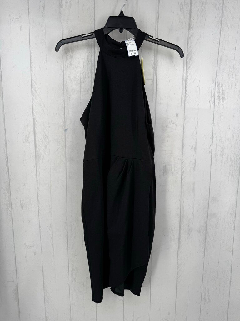XL slvls high neck dress