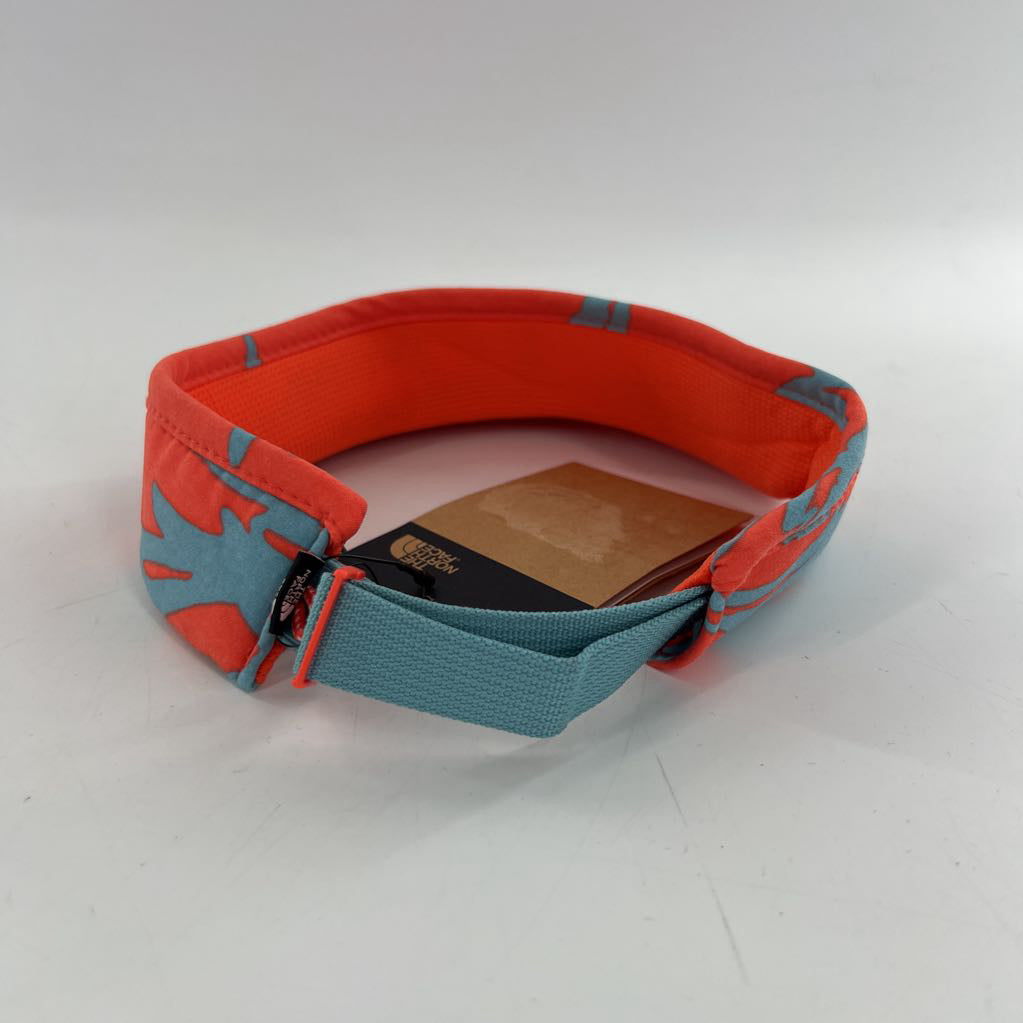 R30 sun visor