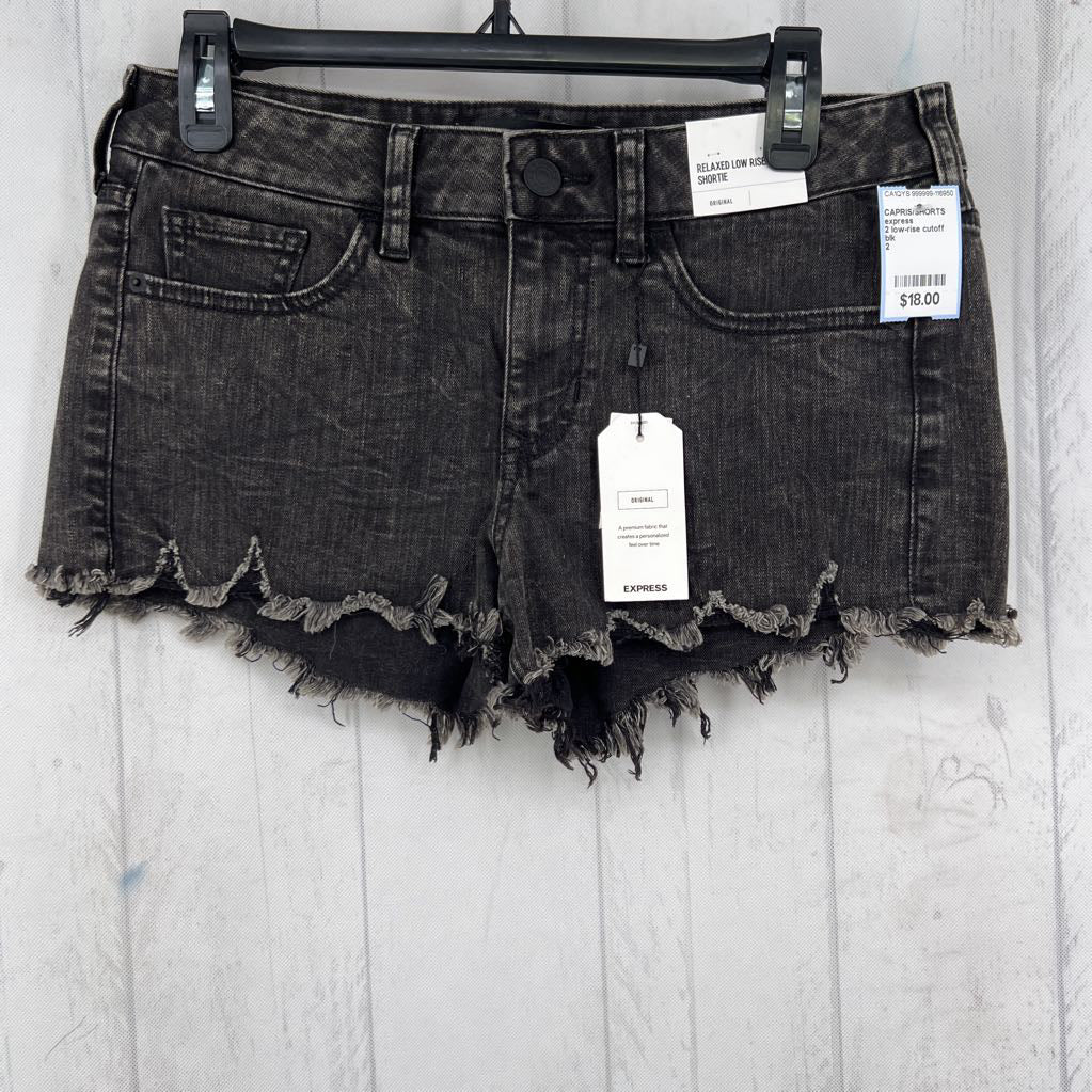 2 low-rise cutoff jean shorts