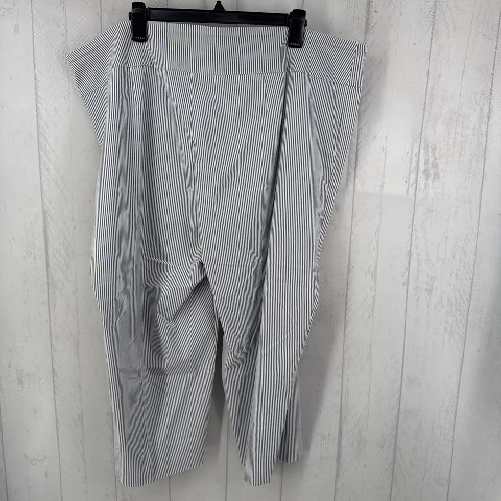 24w striped crop pant