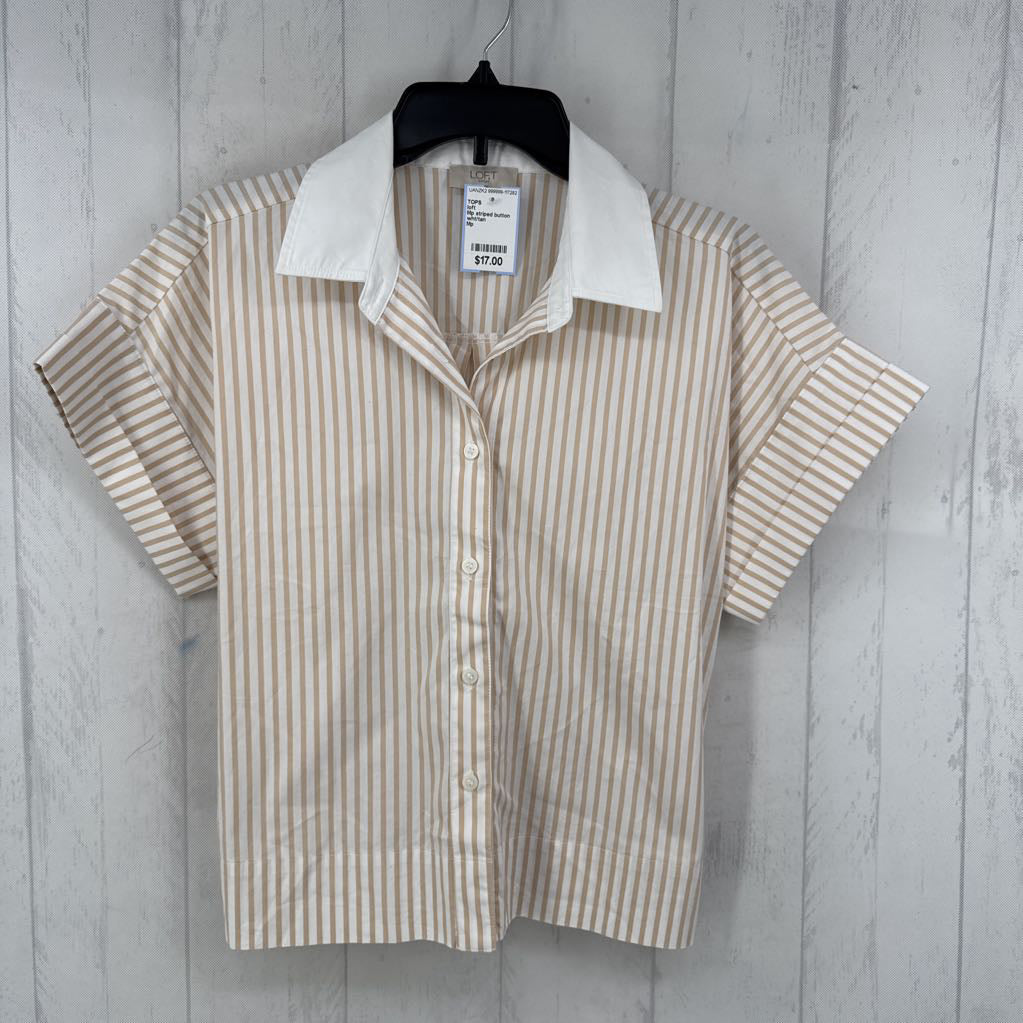 Mp striped button down s/s top