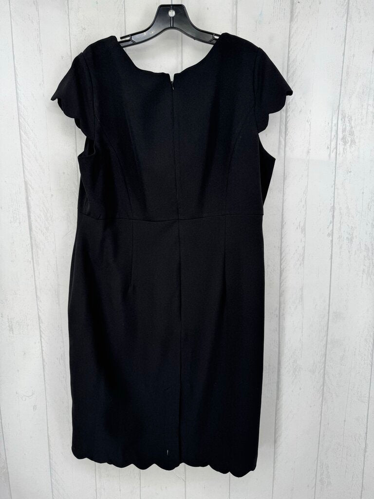 14 scalloped edge s/s dress