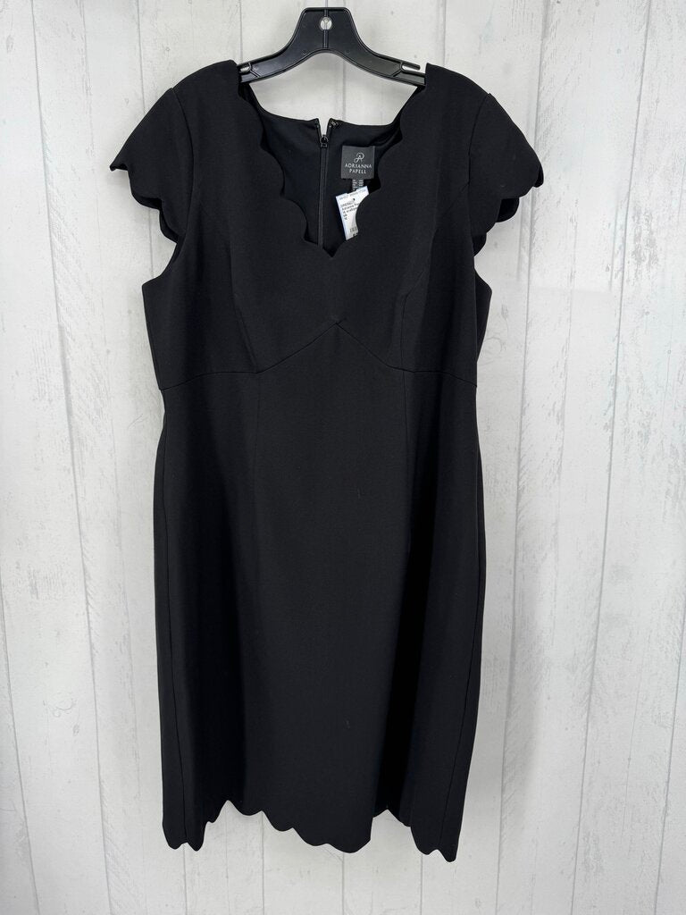 14 scalloped edge s/s dress