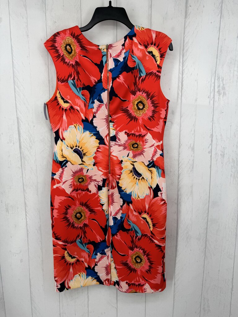 12 flo print slvls shiftdress