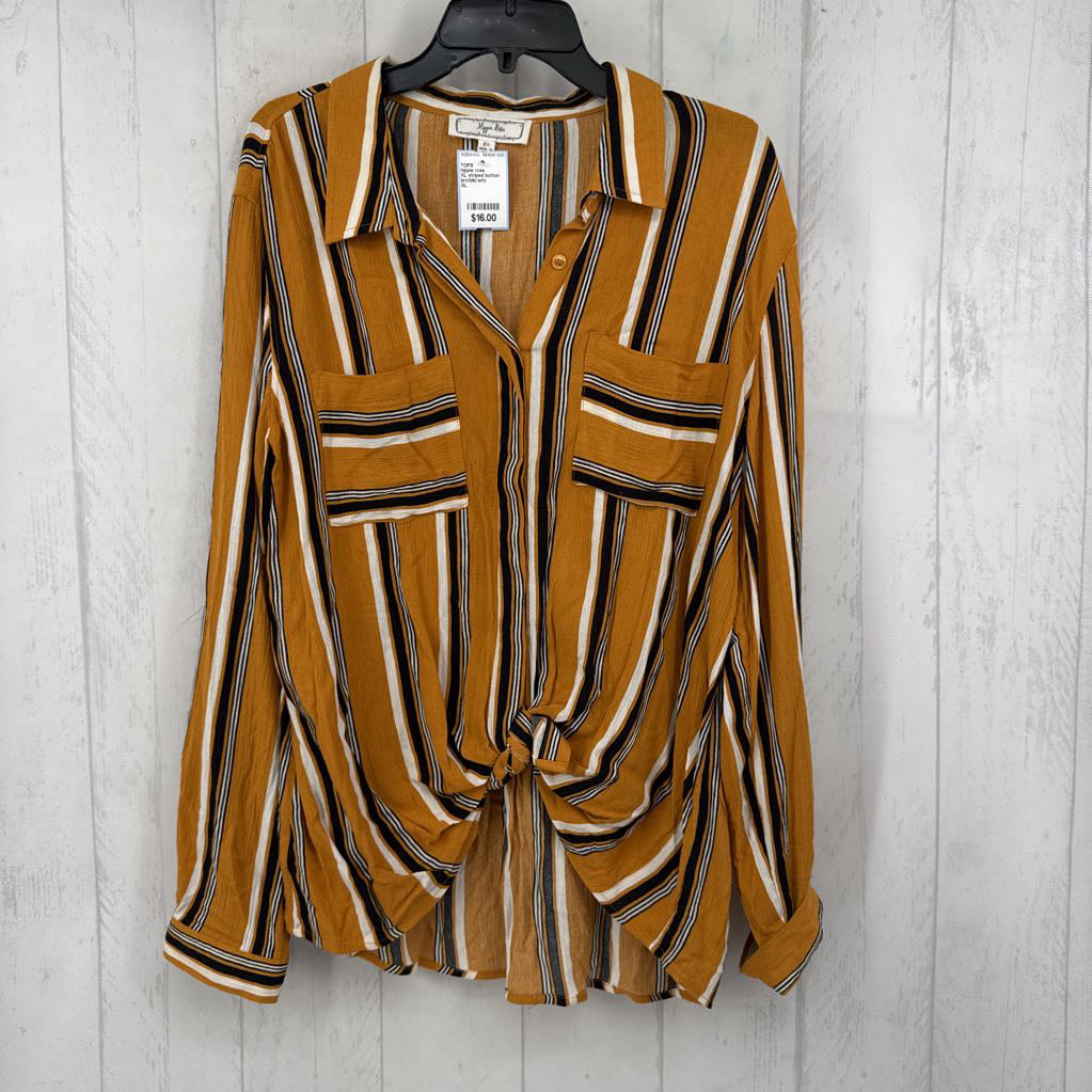 XL striped button down l/s top