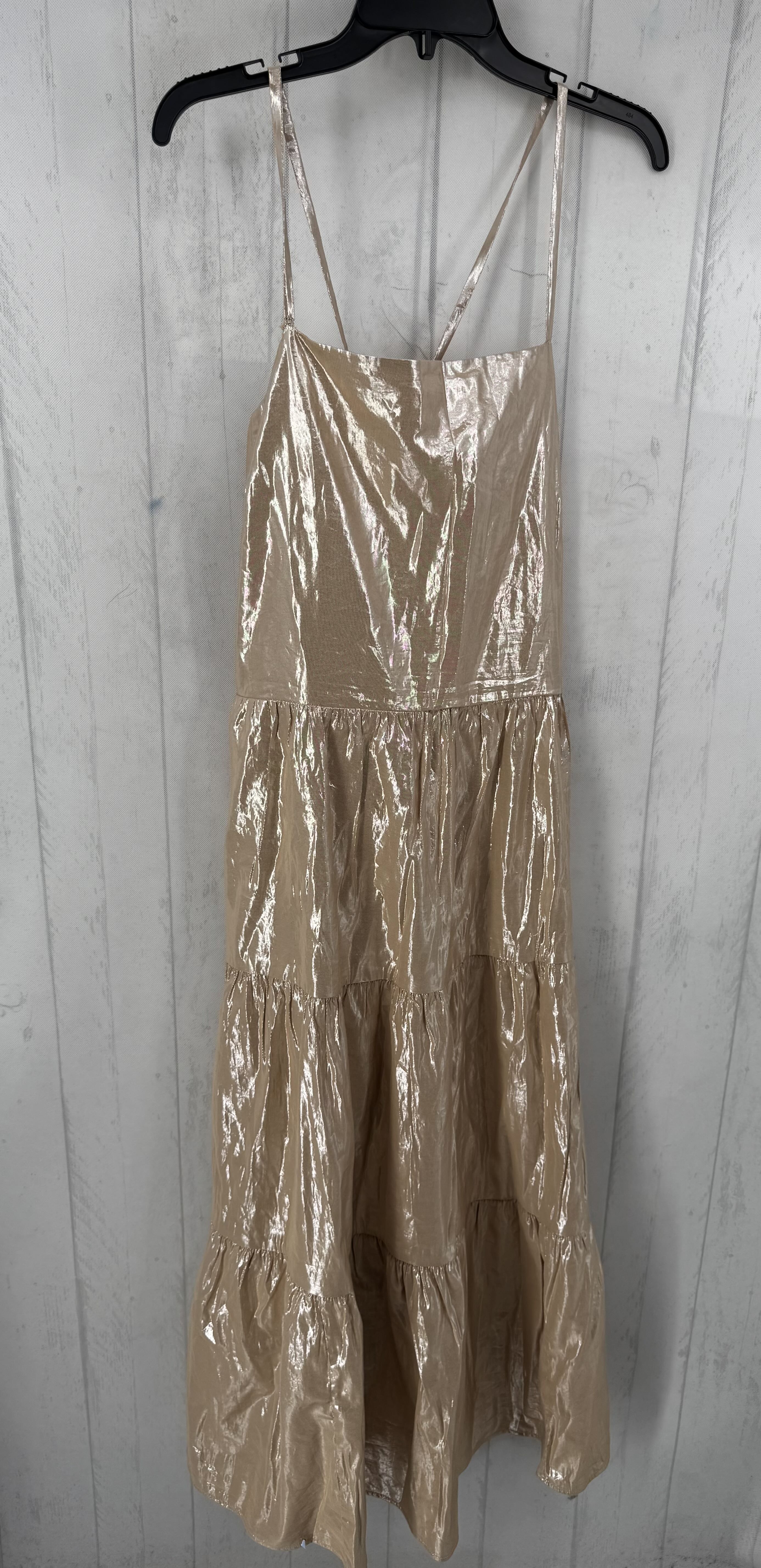XL metallic tiered slvls dress