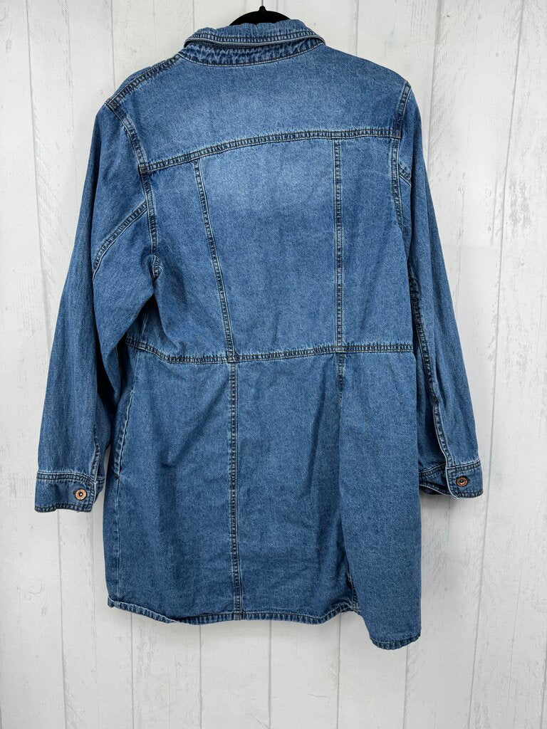XL denim button down l/s dress