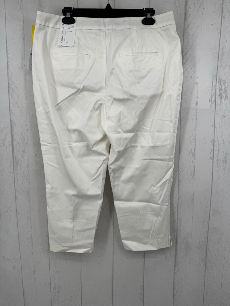 R60 14 cropped leg pant