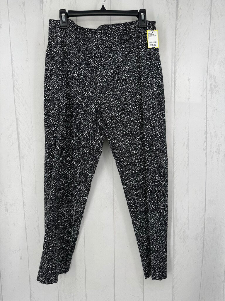 12 printed pull-on pant