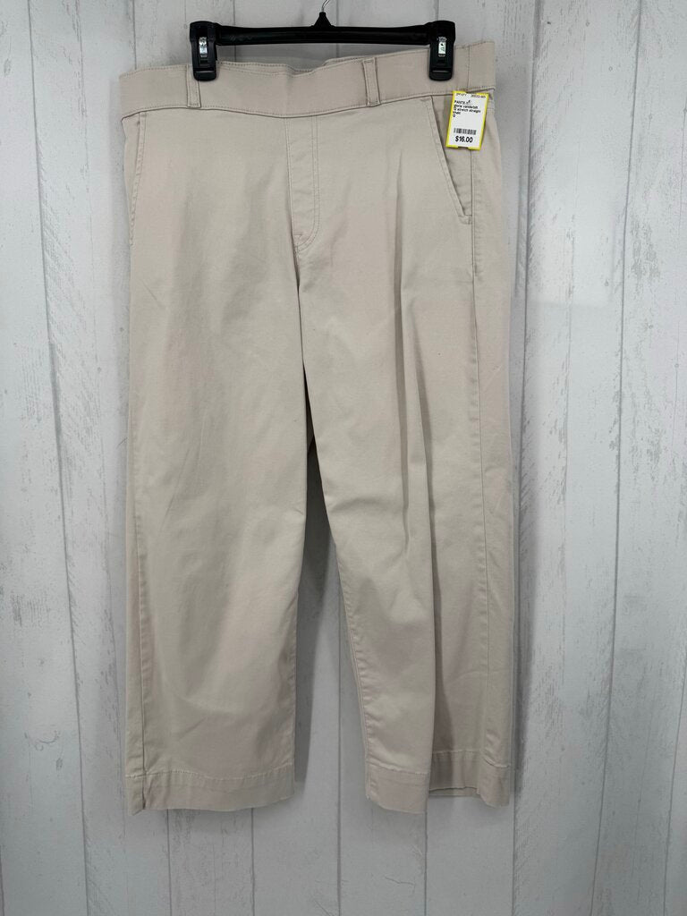 12 stretch straight leg pant