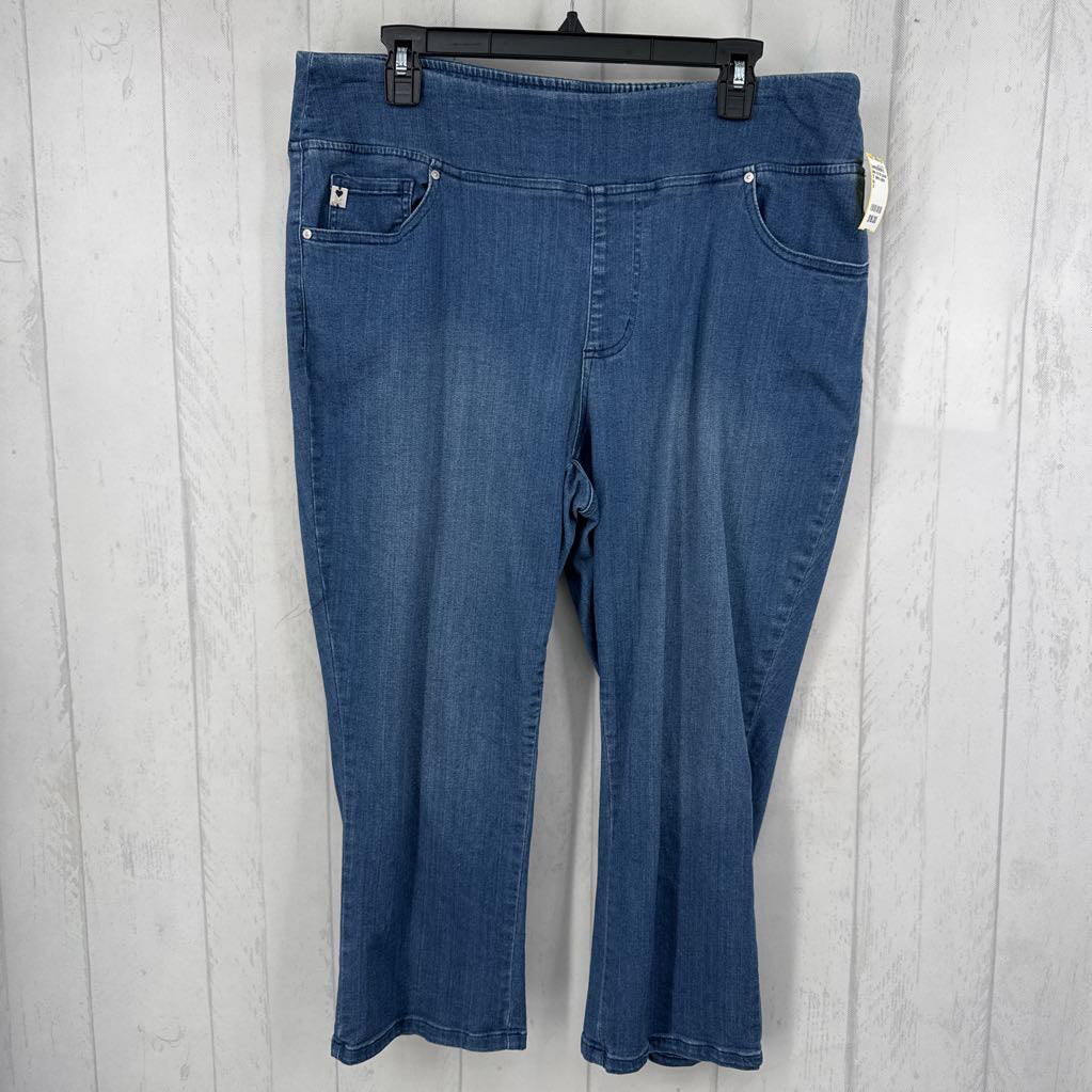 1X denim capris