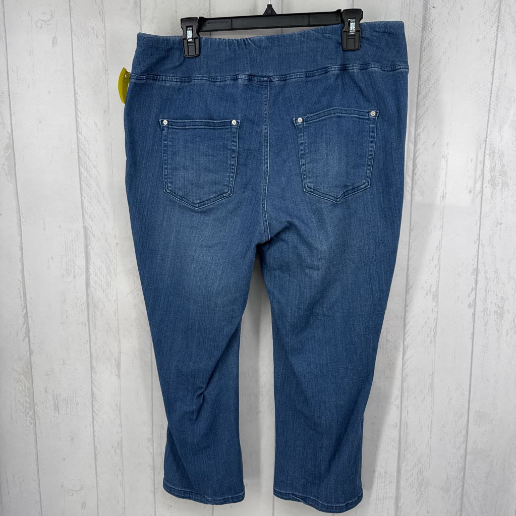 1X denim capris