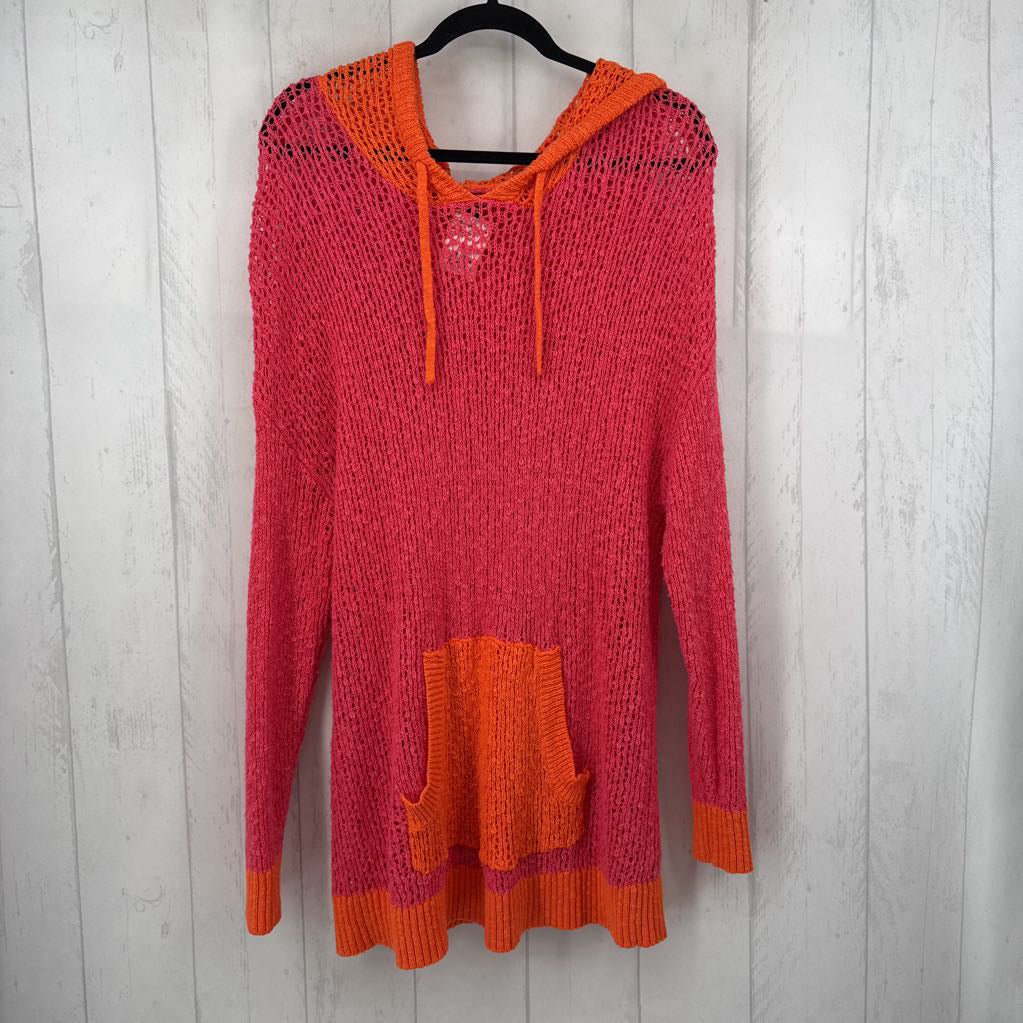 1X colorblock hooded sweater