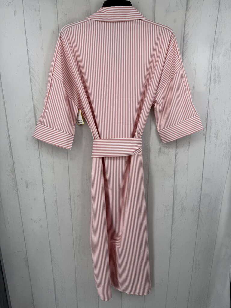 1X striped button down belted 3/4 slv dress