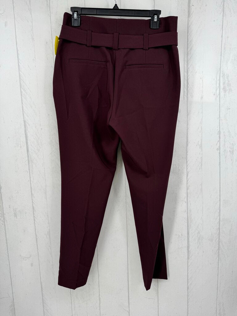 6 belted straight leg trouser