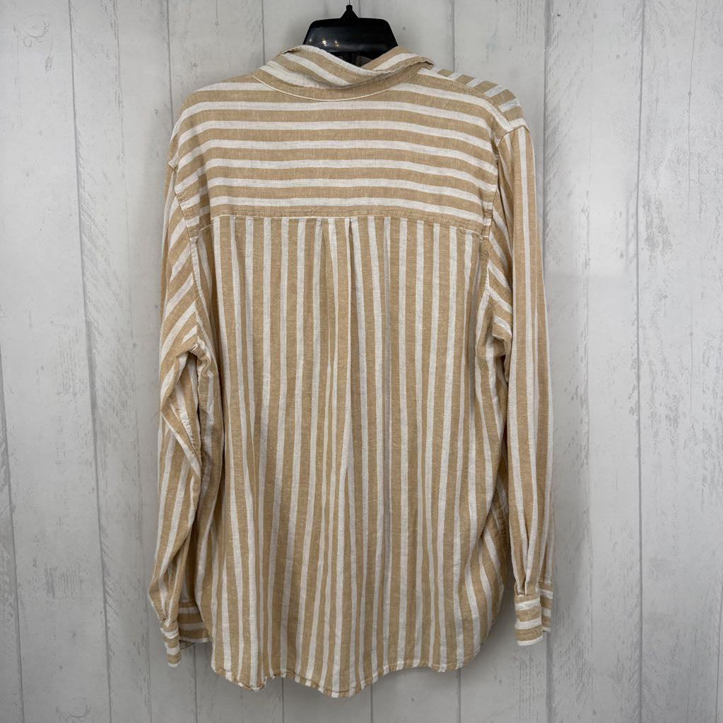 XL striped button down l/s top