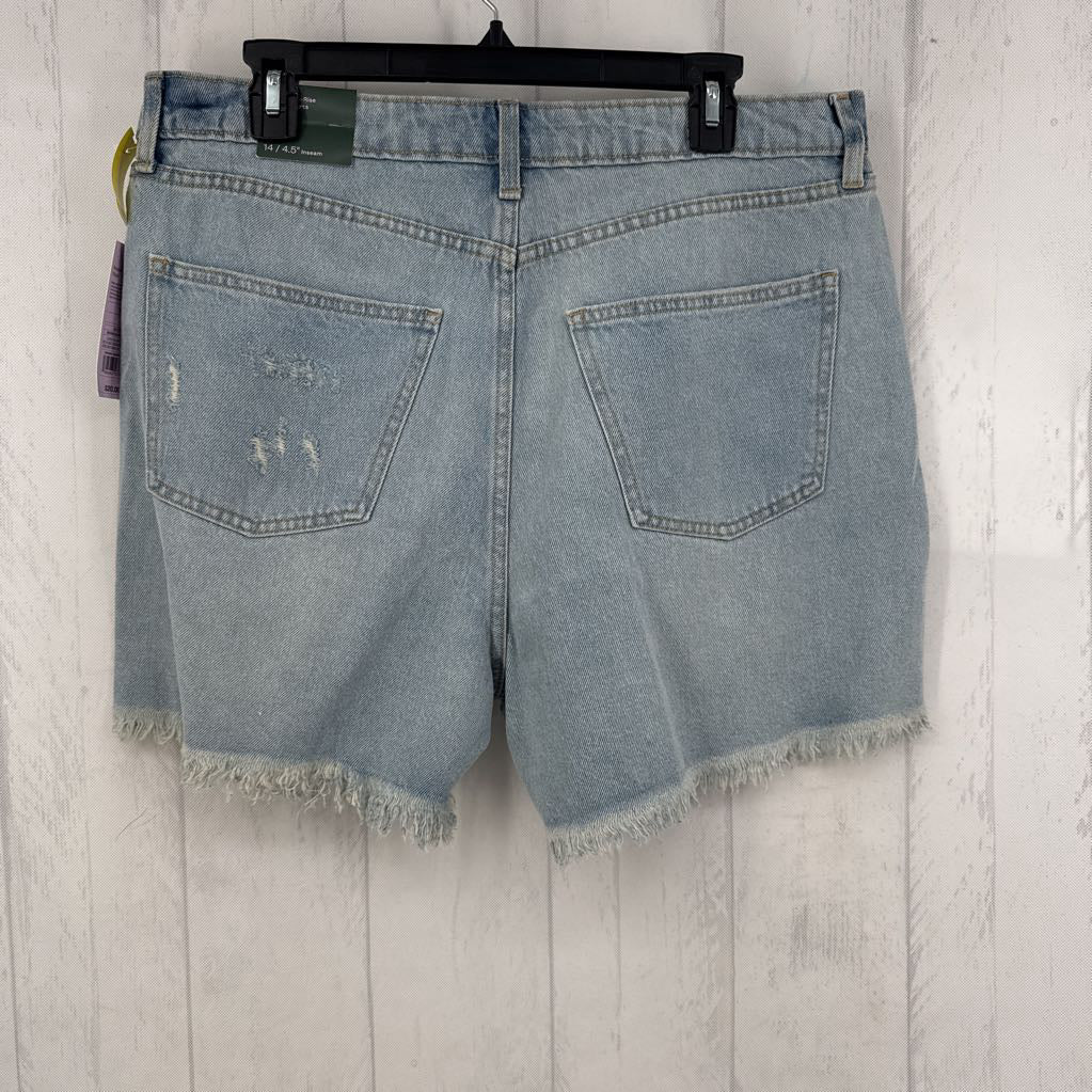 R20 14 distressed shorts