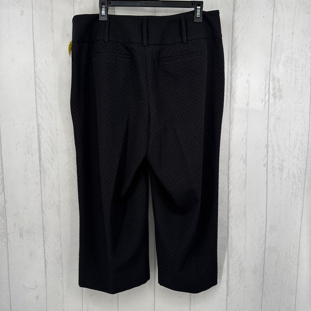 14 pointelle capris