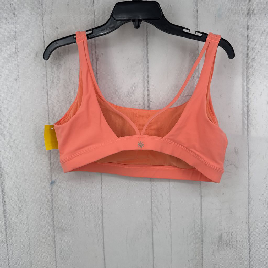XL sports bra