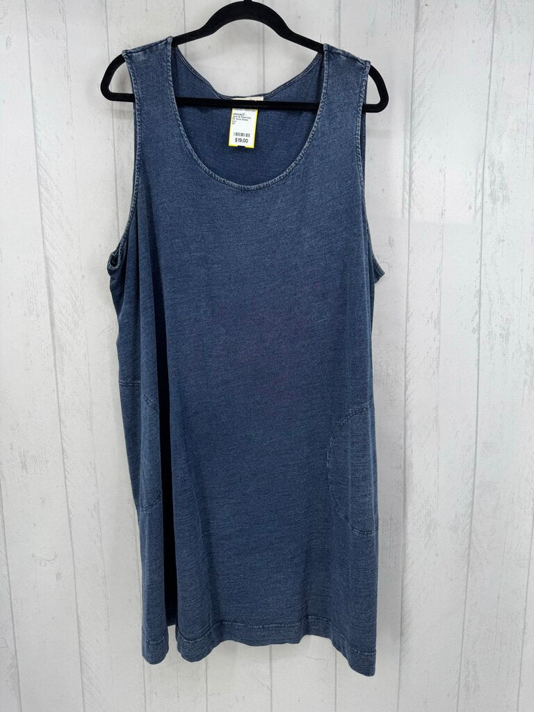 3X slvls dress