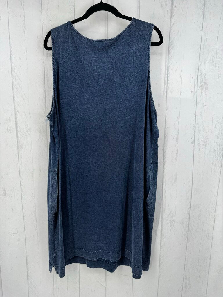3X slvls dress