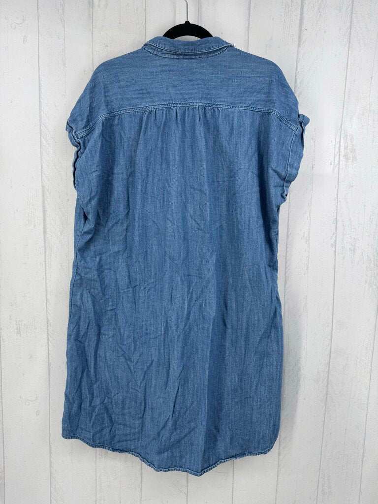 XXL denim button down s/s dress