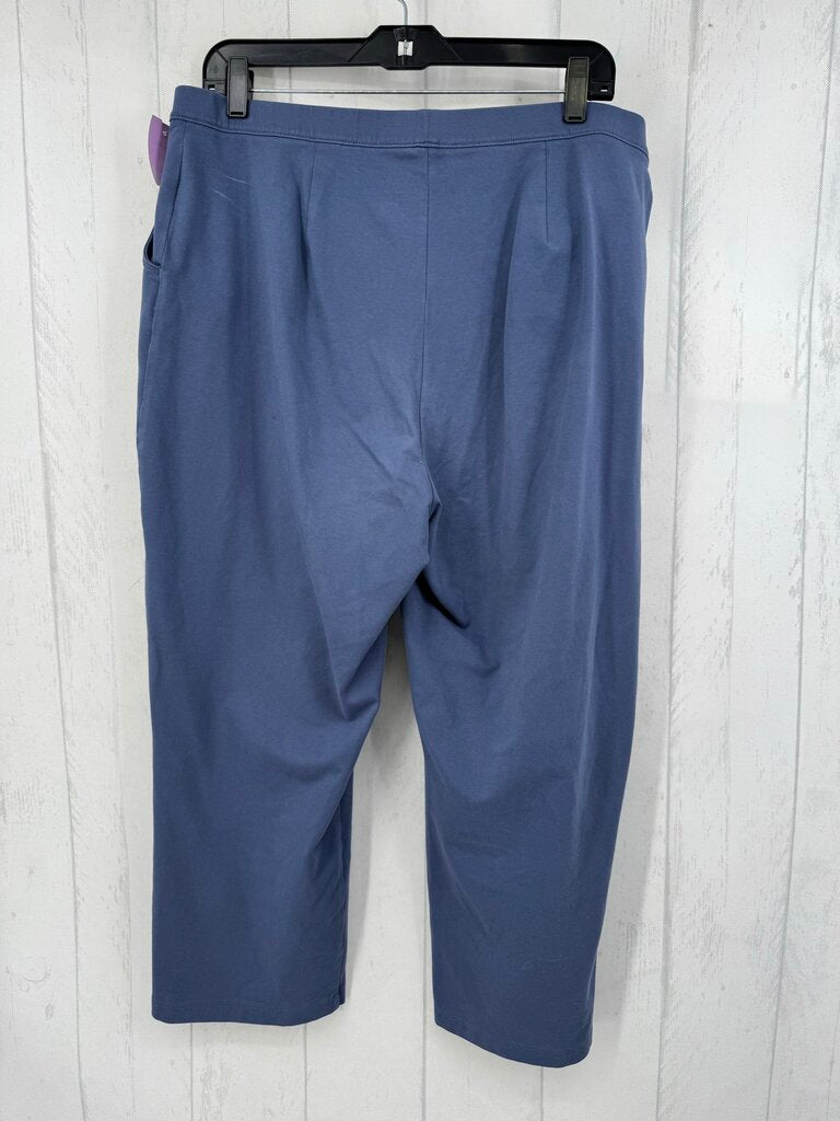 XL stretch knit pant