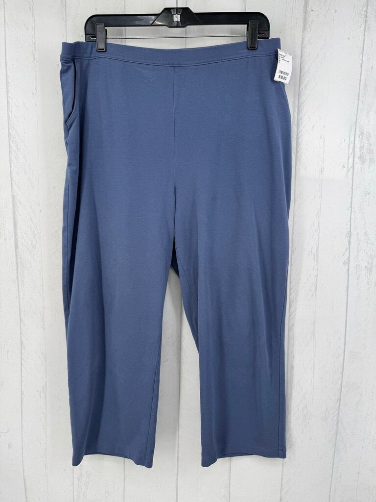 XL stretch knit pant