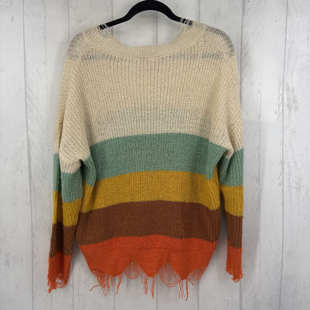 S colorblock v-neck sweater