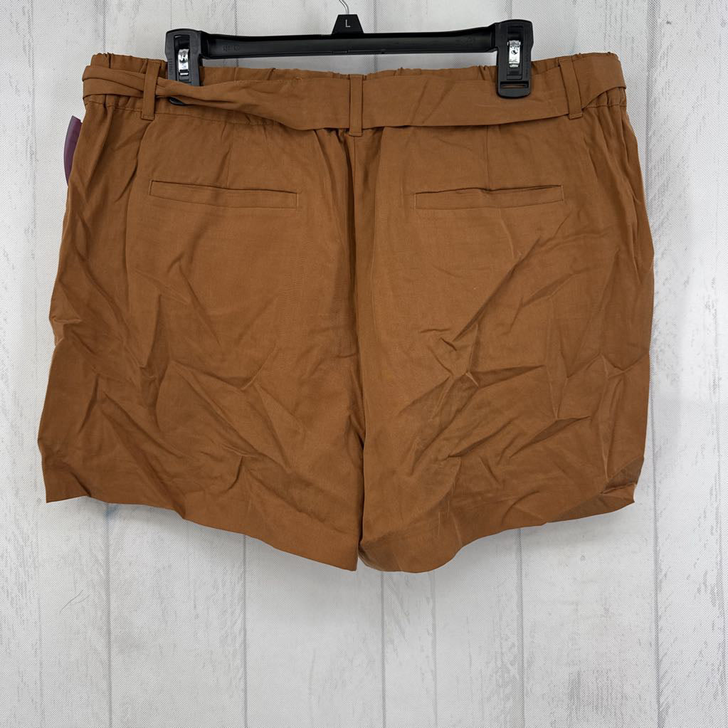 12 pull on shorts w/ belt
