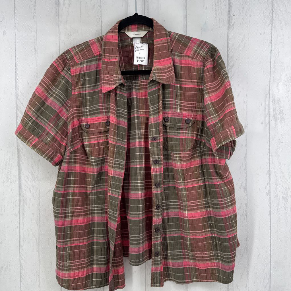 1X plaid button down s/s top