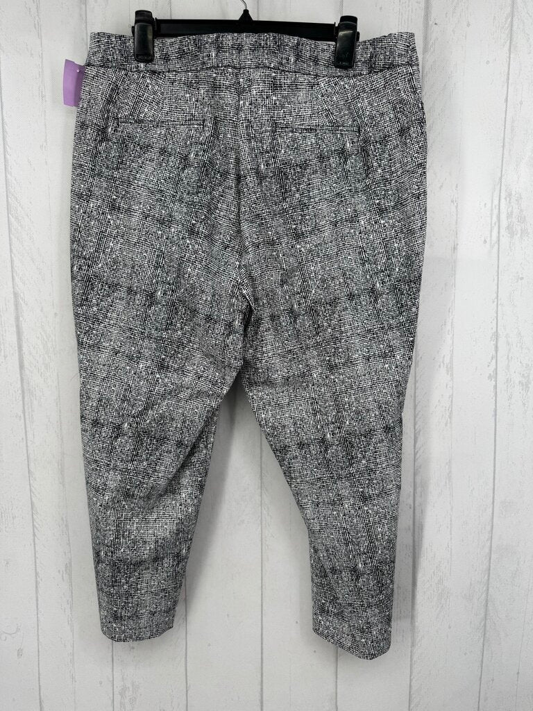 18 printed pull-on capri