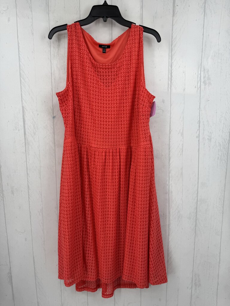 2X lace slvls dress
