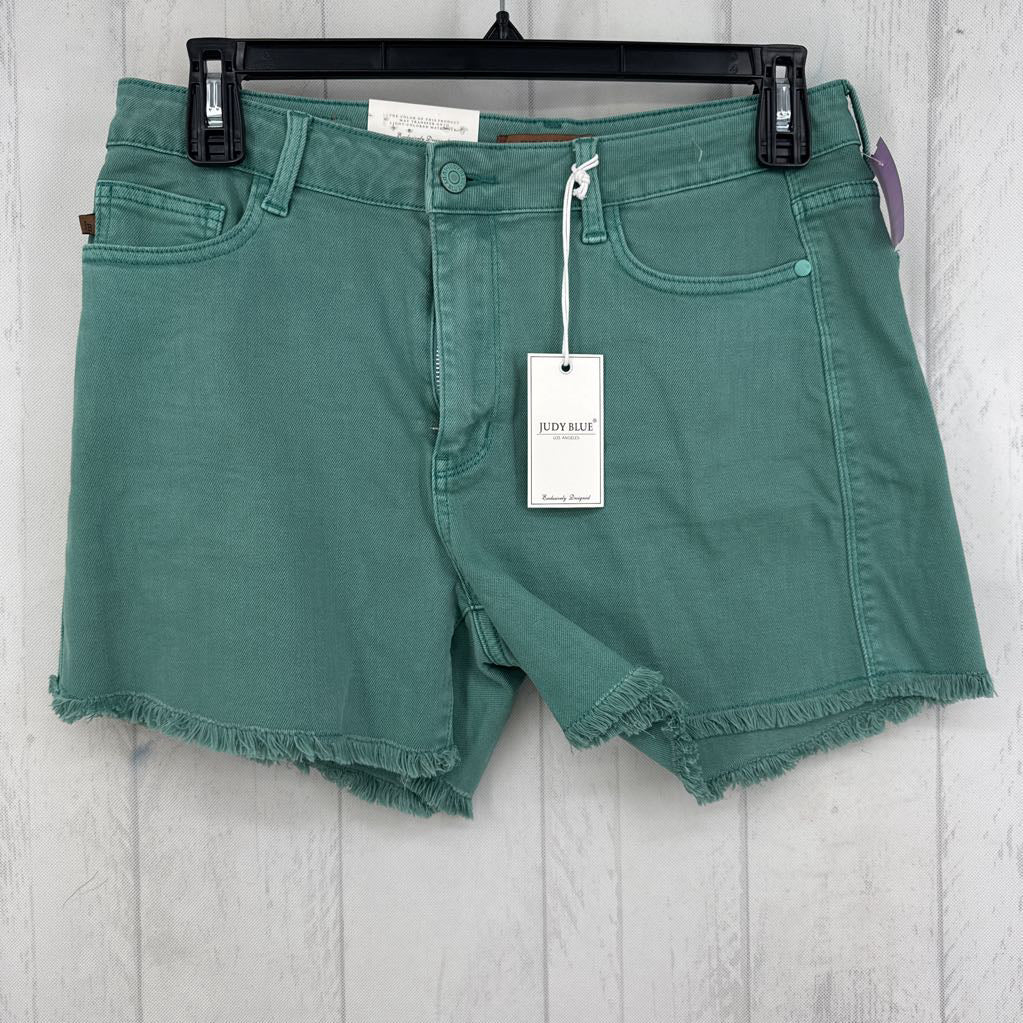 XL cutoff jean shorts