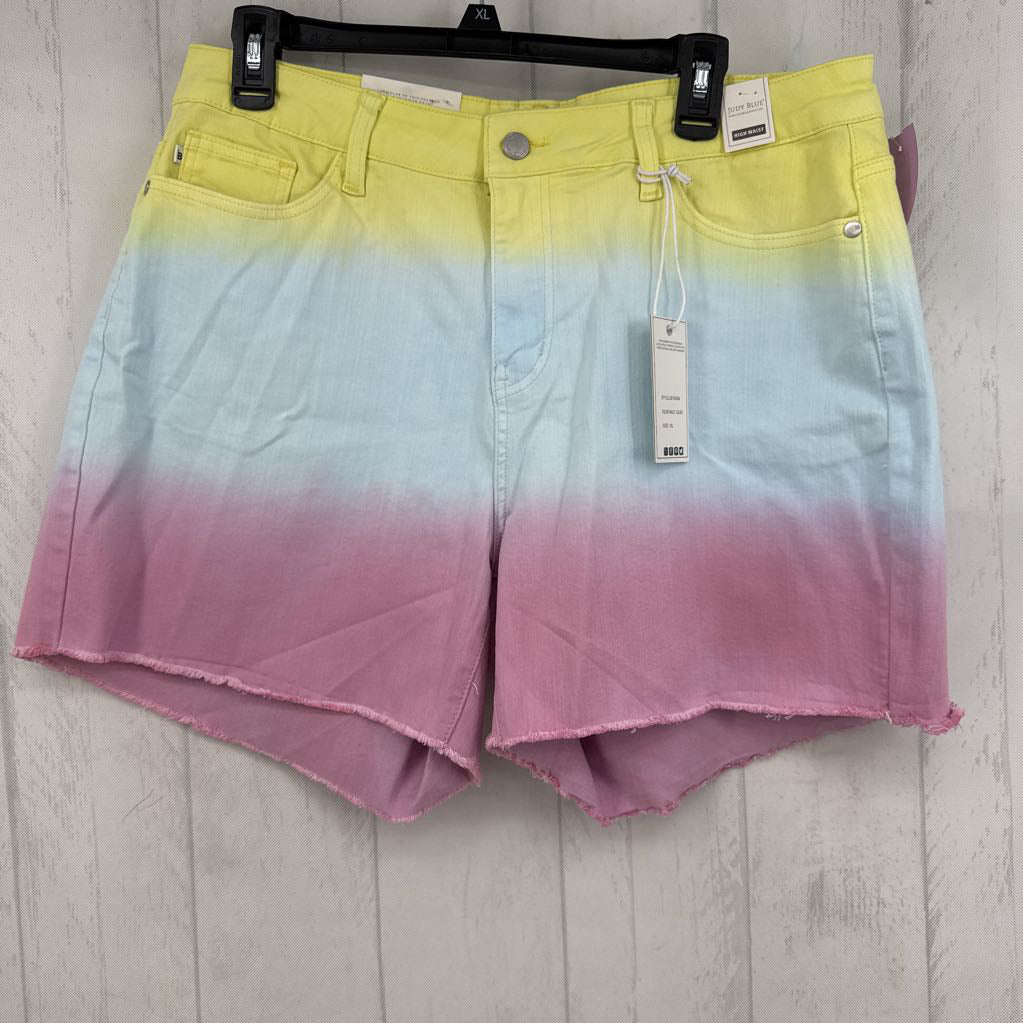 1XL rainbow cutoff jean shorts