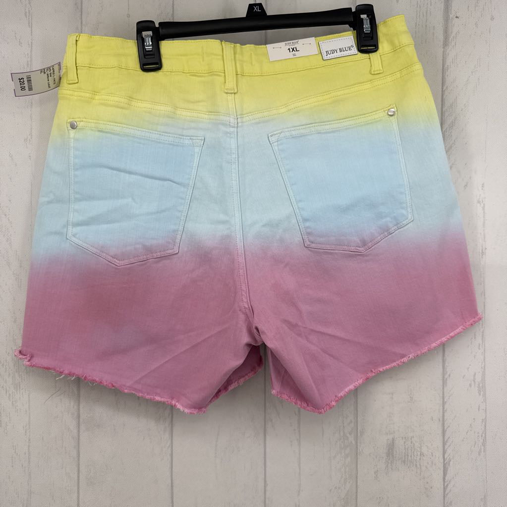 1XL rainbow cutoff jean shorts
