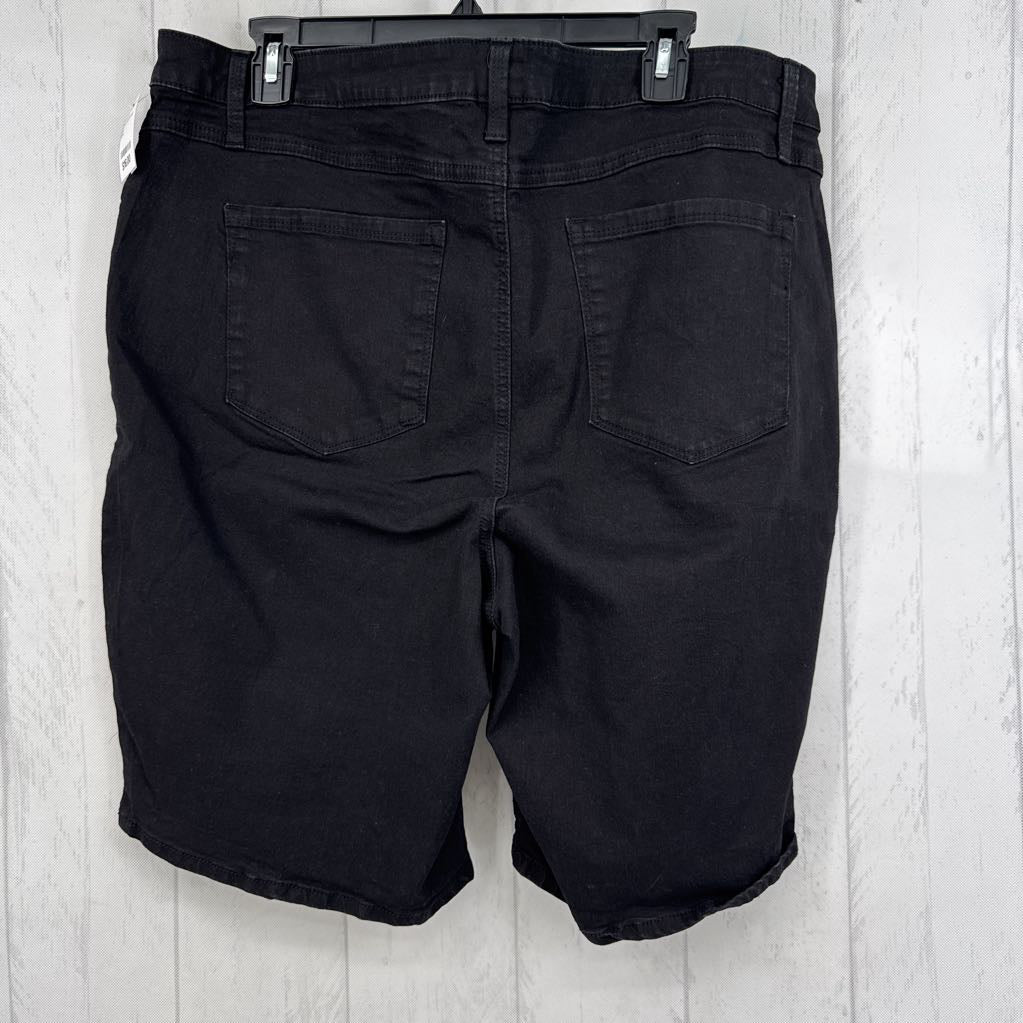 22w cutoff jean shorts