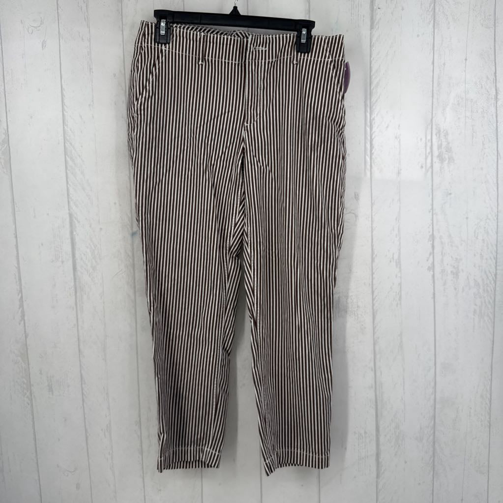 6 striped slim fit pant