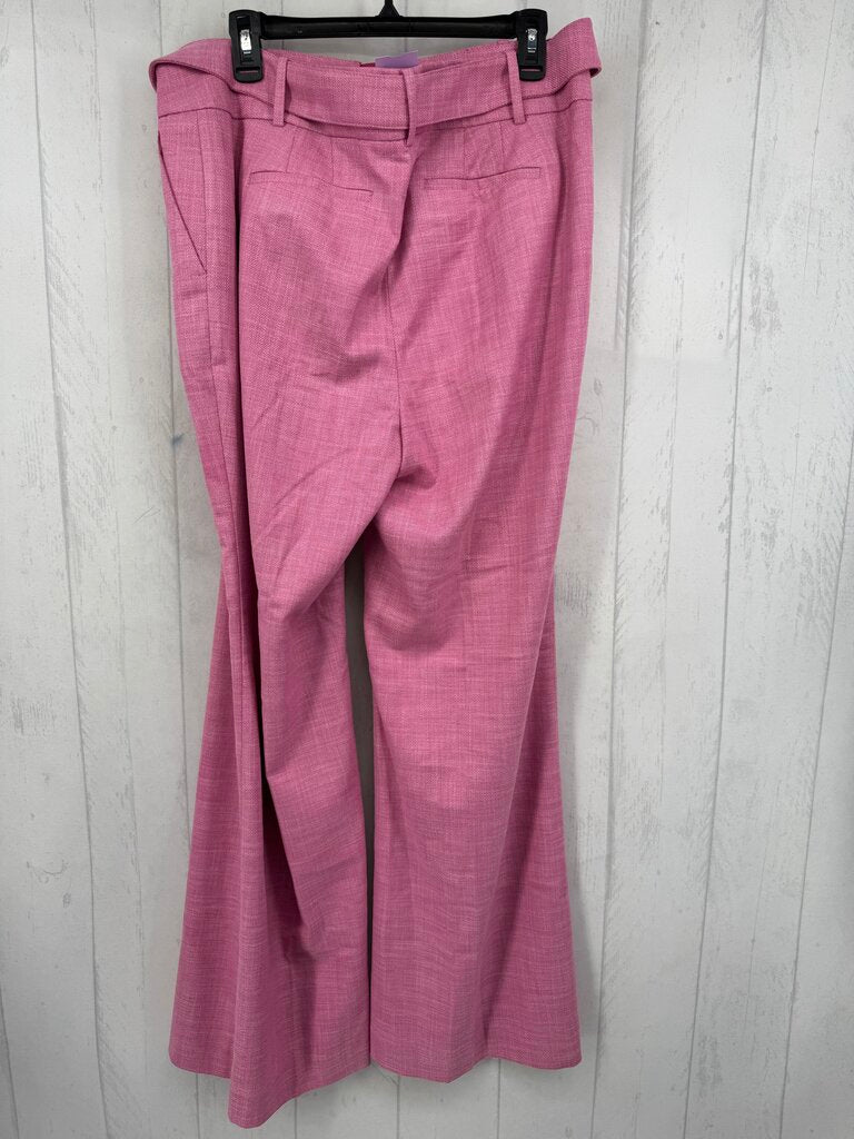 14 straight leg pant