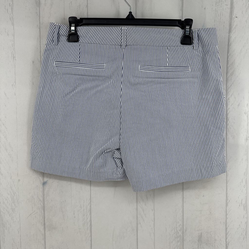 8 pinstripe shorts