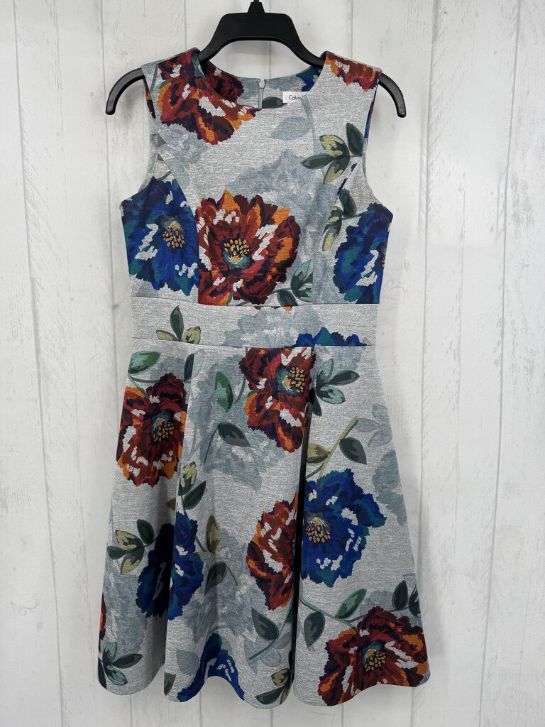 6 flo print slvls dress