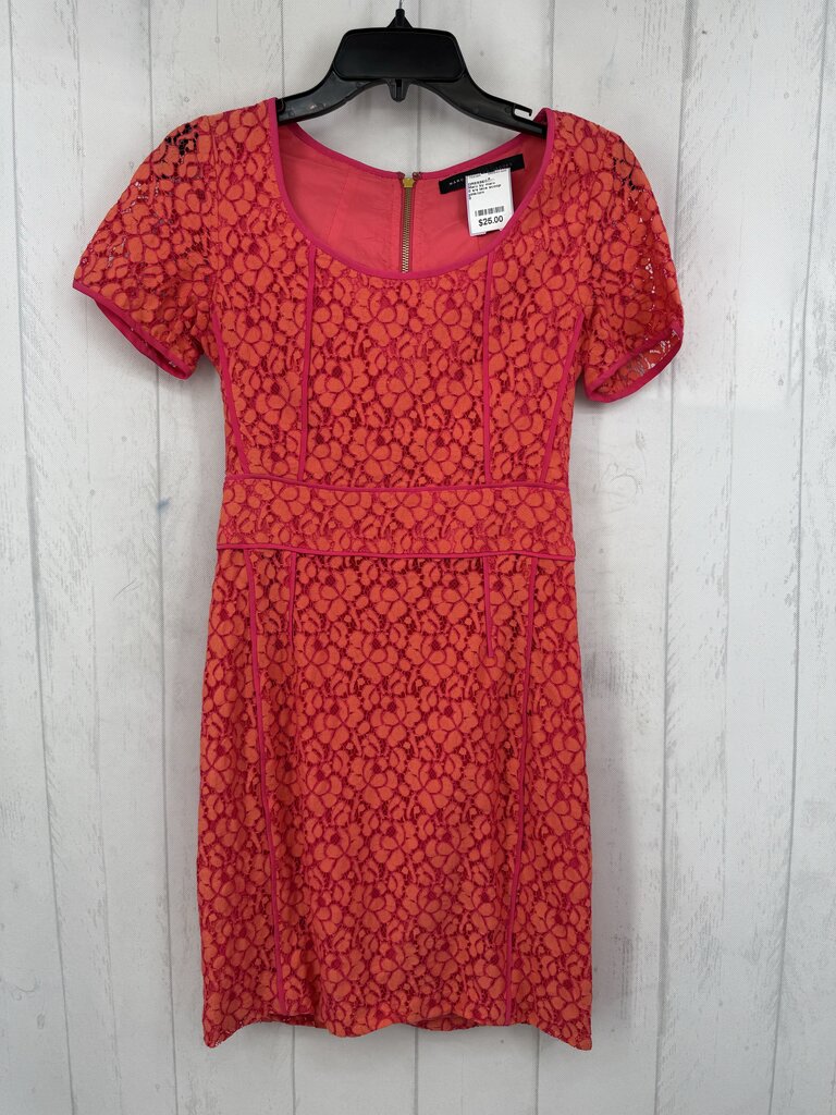0 s/s lace scoop neck dress