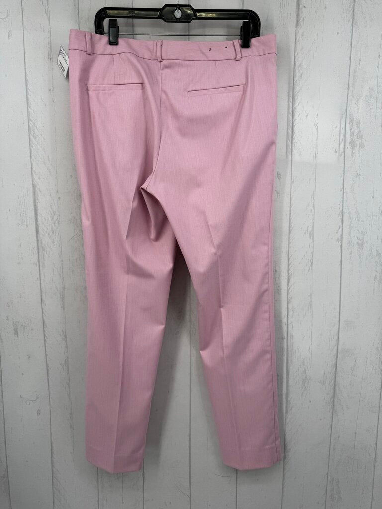 12 straight leg pant