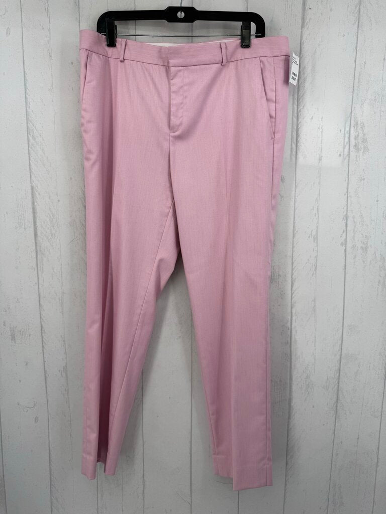 12 straight leg pant